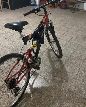 Bici montana bike