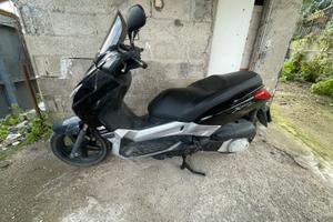 Xmax 250