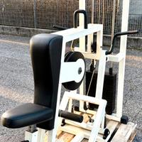Vertical Row Technogym Lux