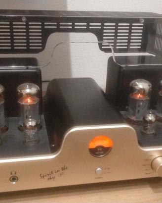 amplificatore dared i30