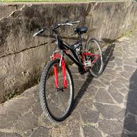 Bicicletta - Mountain Bike, usata