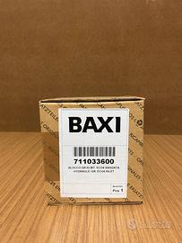 Ricambio caldaia Baxi