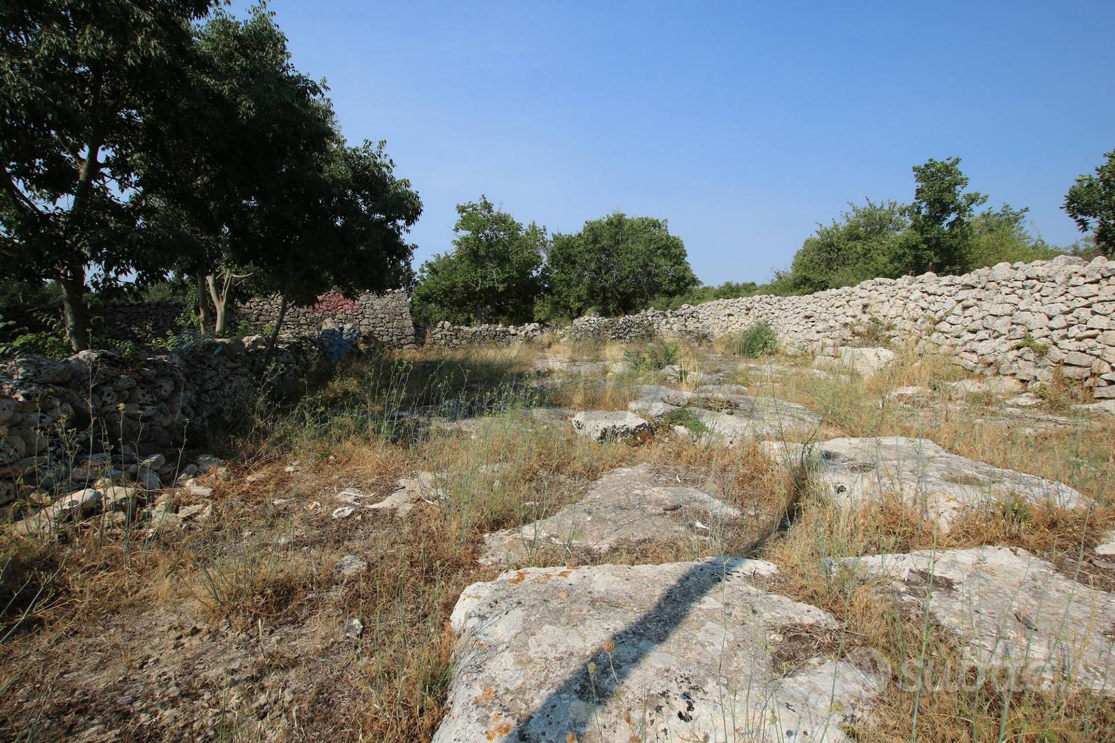 Cascina/Casale - Noto - Vista 3
