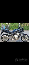 Honda cbf 600