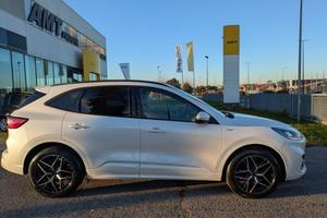 FORD Kuga 1.5 EcoBlue 120 CV aut. ST-Line +TETT