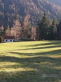 Terreno per villaggio chalet o glamping