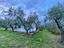 Immagine 20