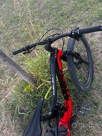 Bici trek