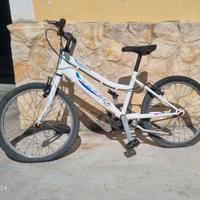 Bici 20"