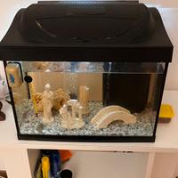 acquario con accessori