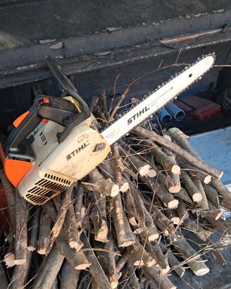 Motosega  sthil 019 t da potatura