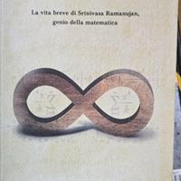 L'uomo che vide l'infinito