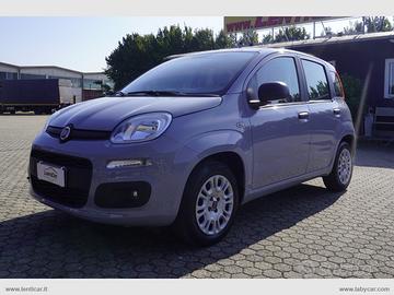 FIAT Panda 1.2 Easy Adatta a Neopatentati