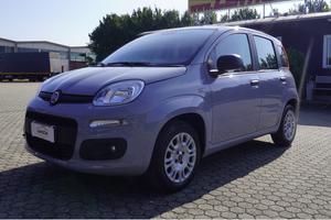 FIAT Panda 1.2 Easy Adatta a Neopatentati