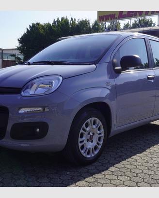 FIAT Panda 1.2 Easy Adatta a Neopatentati