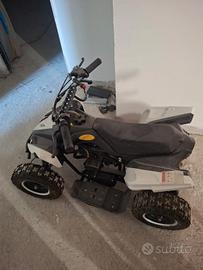 quad quattro ruote
