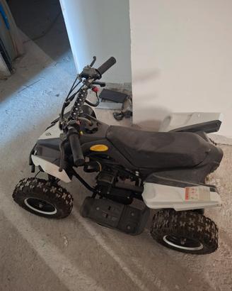 quad quattro ruote