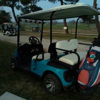 golf cart 4 posti 