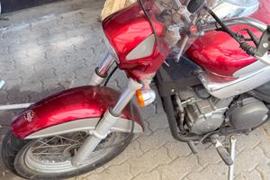 Moto Beta