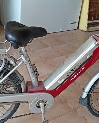 bicicletta elettrica 