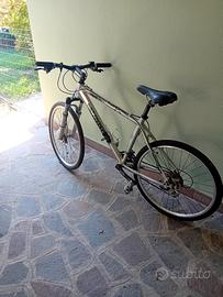 BICICLETTA da uomo 