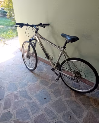 BICICLETTA da uomo 