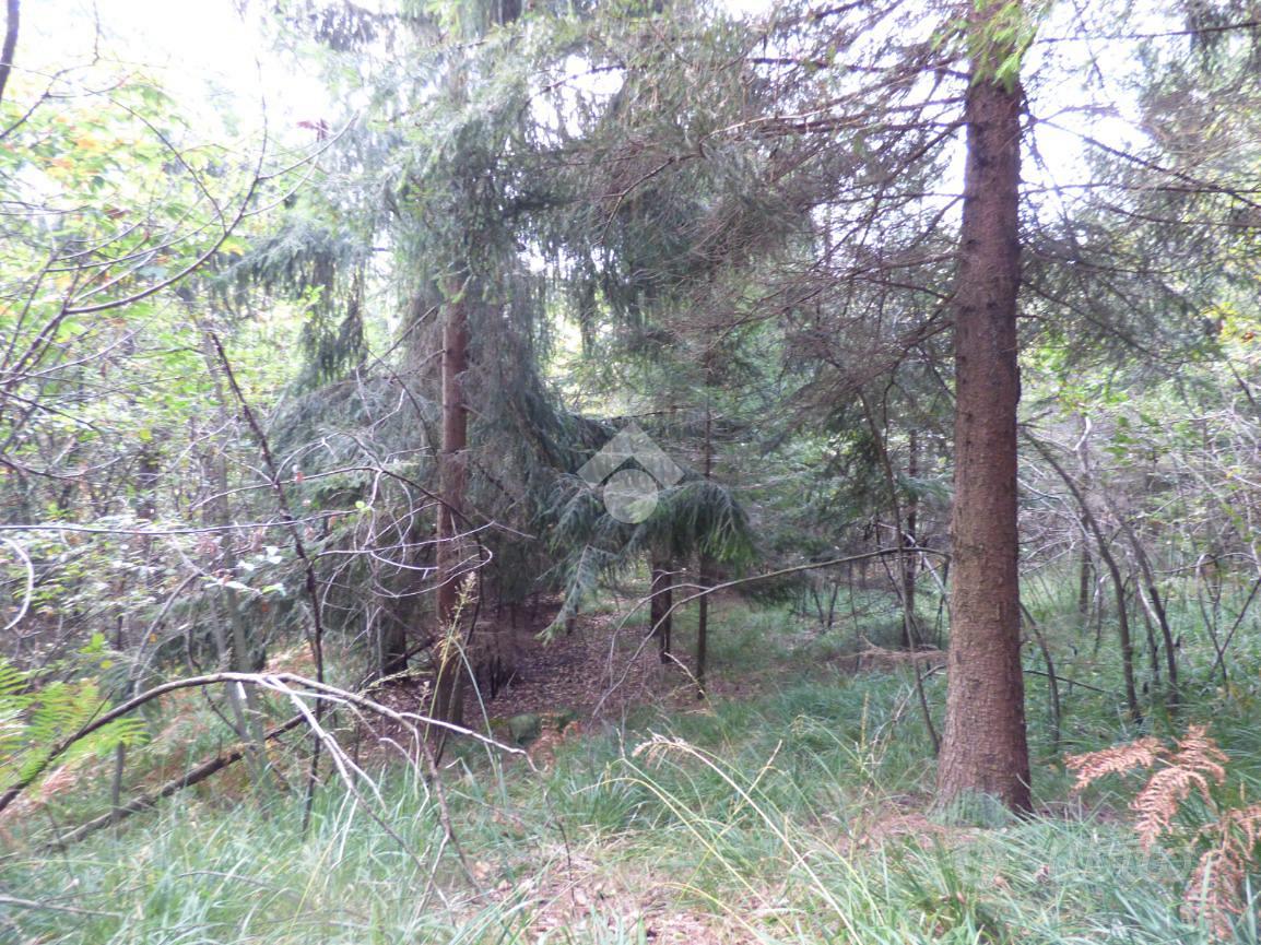 TER. AGRICOLO A OMEGNA - Vista 5