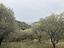Immagine 18