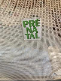 Spondina prenatal