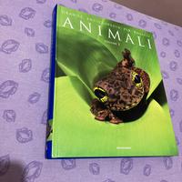 Grande enciclopedia per ragazzi animali mondadori