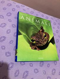 Grande enciclopedia per ragazzi animali mondadori
