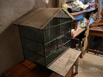 Gabbia per uccellini