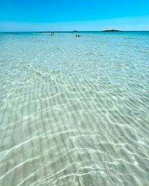 Porto Cesareo Vacanza in villino a 450 m dal mare