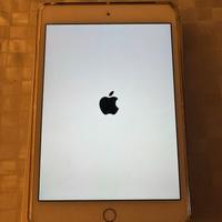 Apple Ipad mini 4