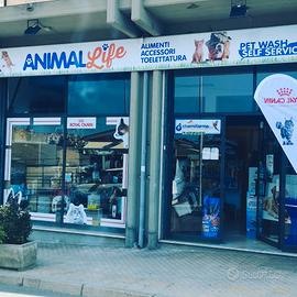 Negozio di animali ( pet shop)