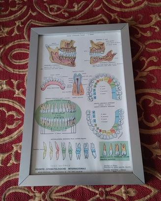 poster odontoiatrico anni 60