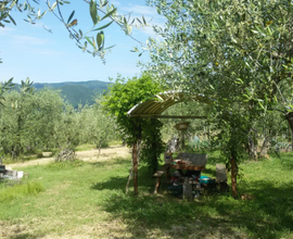 Vendita Terreno Agricolo