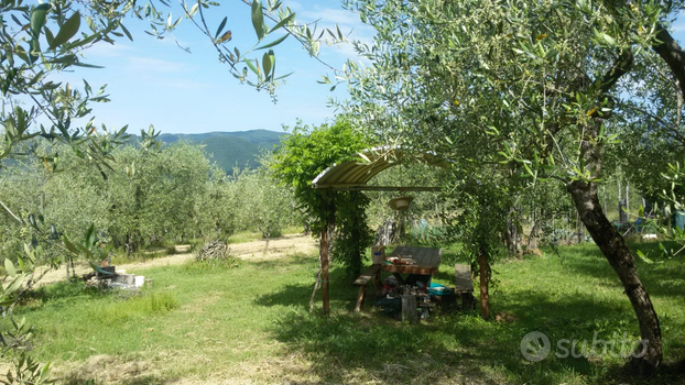 Vendita Terreno Agricolo