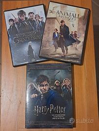 Lotto DVD Harry Potter e Animali Fantastici