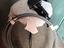 Immagine 2