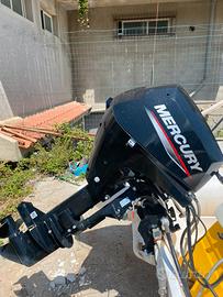 Motore 15 cv Mercury