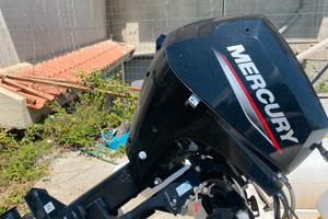 Motore 15 cv Mercury