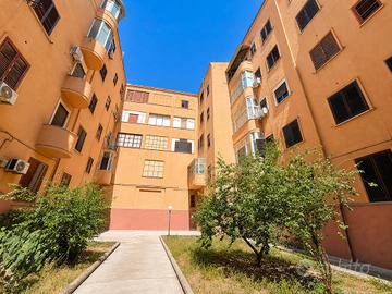 2 VANI Piazza Alessandro Vanni Zona Università