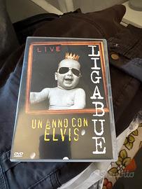 Concerto ligabue