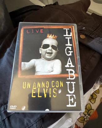 Concerto ligabue