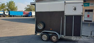 Trailer x cavalli