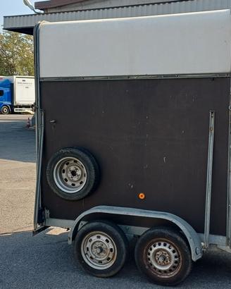 Trailer x cavalli
