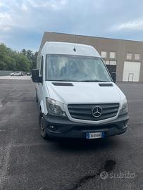 Sprinter passo lungo 314