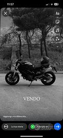 Ducati monster 696 - A2