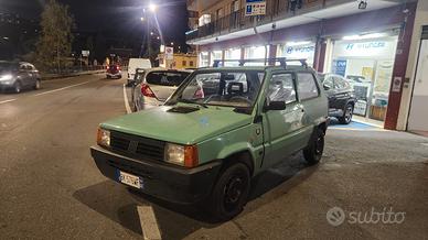 Fiat Panda 1100 i.e. cat Young